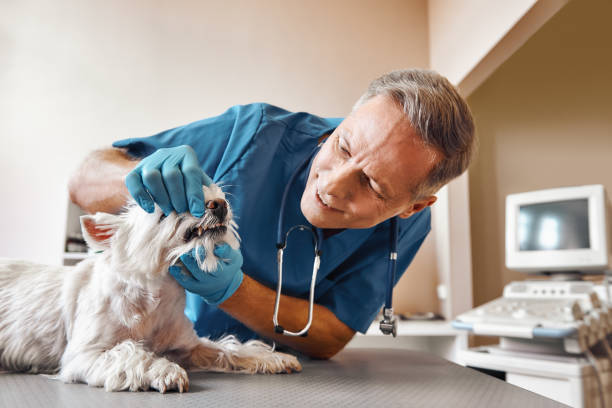 Best Emergency Dental Surgery in Early, TX